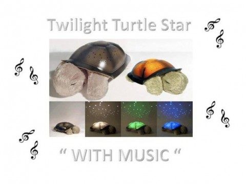 twilight turtle projection